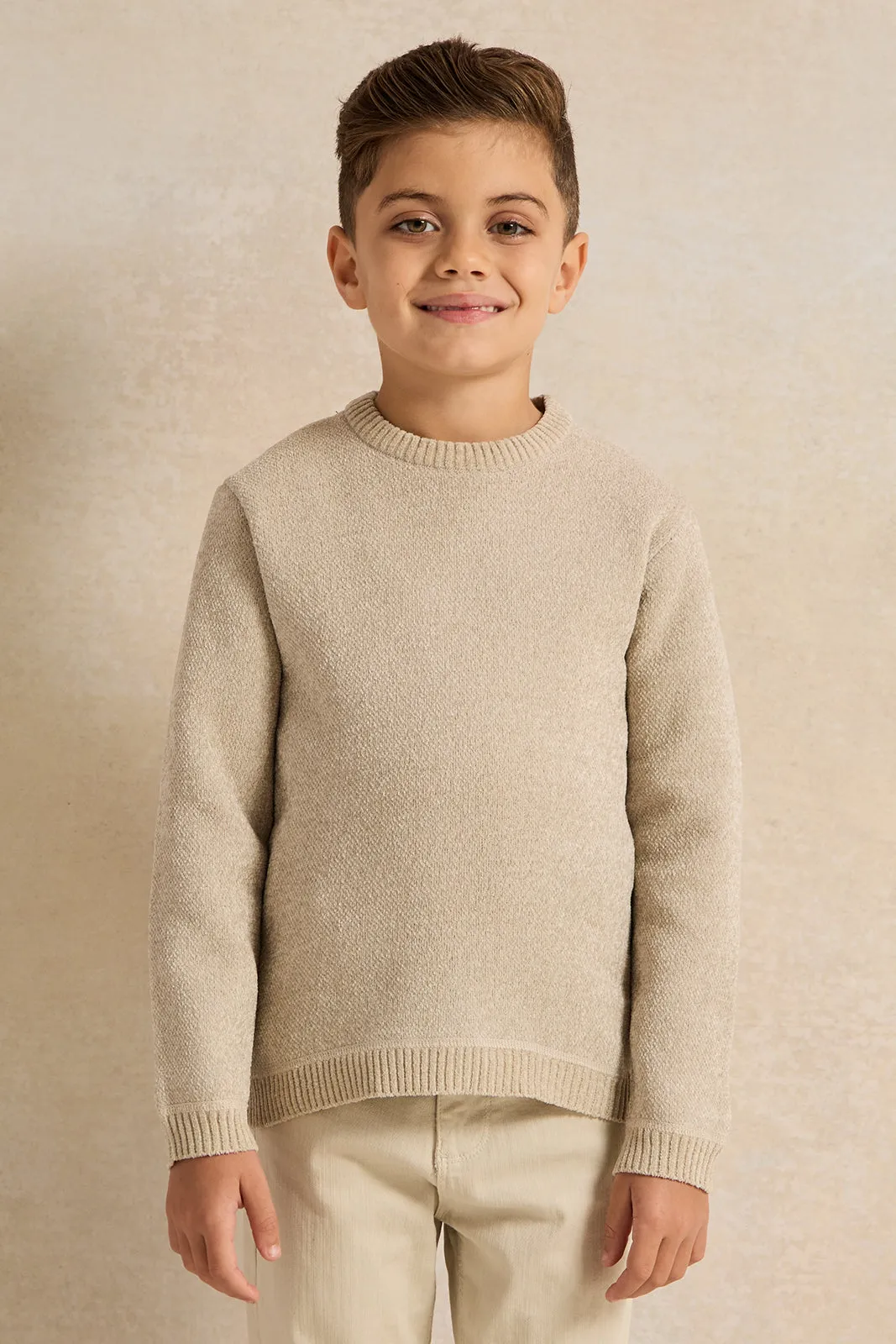 Boys Beige Plain Pullover