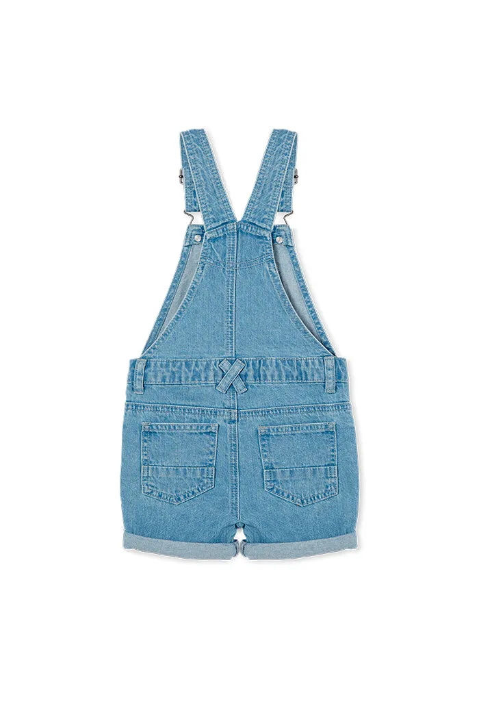 DENIM OVERALL