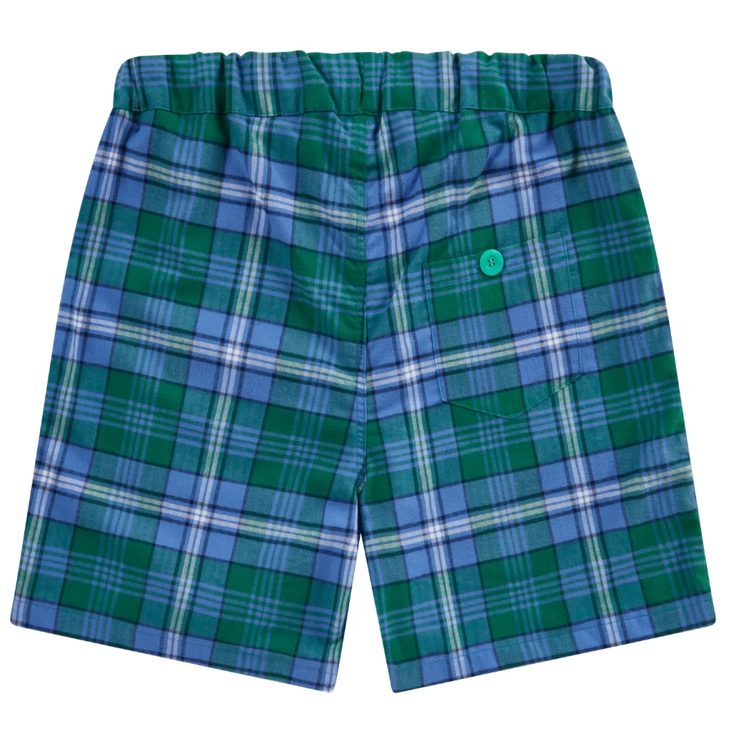 Green Sea Turtle shorts