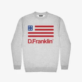 USA Sweatshirt Grey